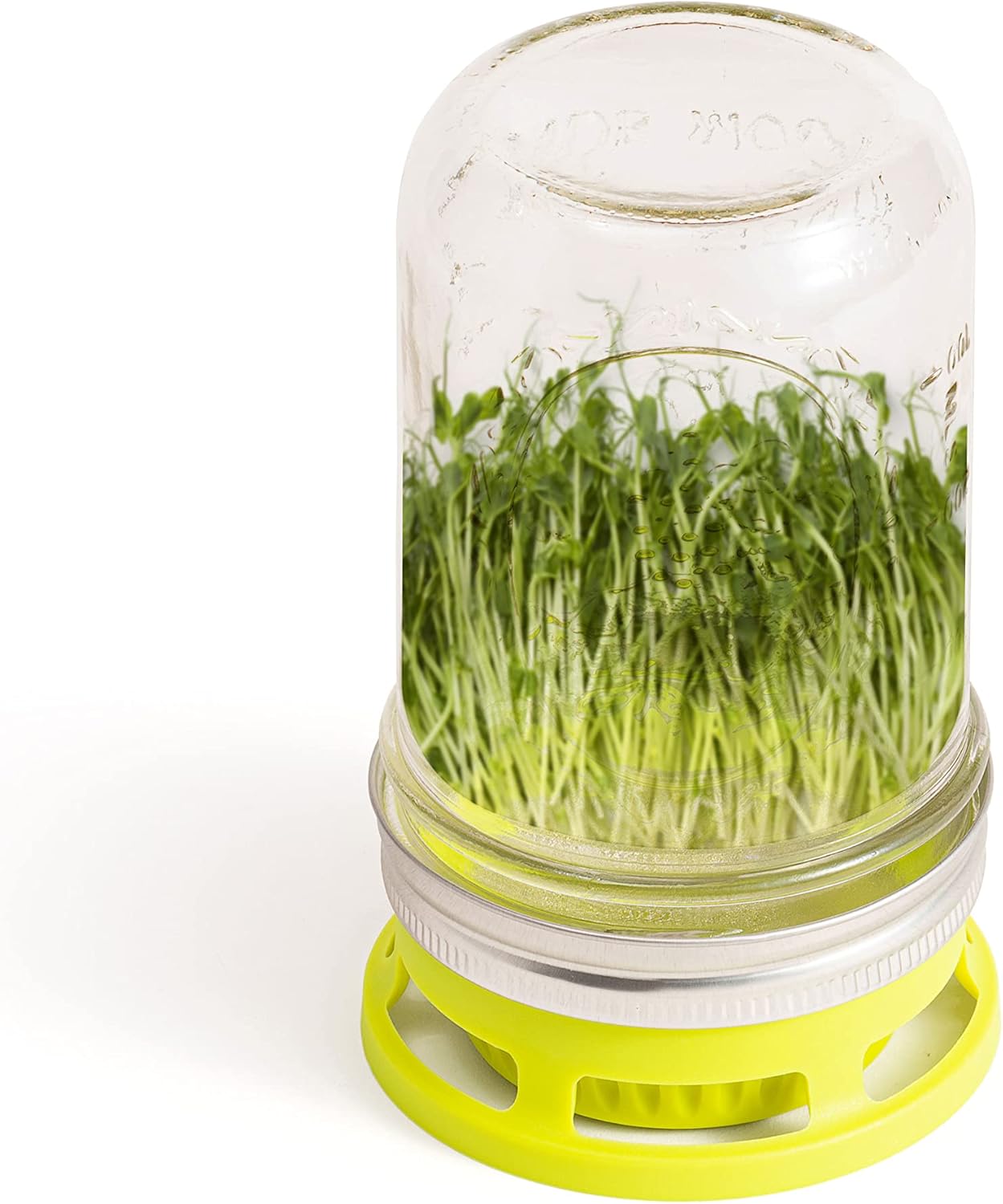 Jarware Seed Sprouter Set of 2