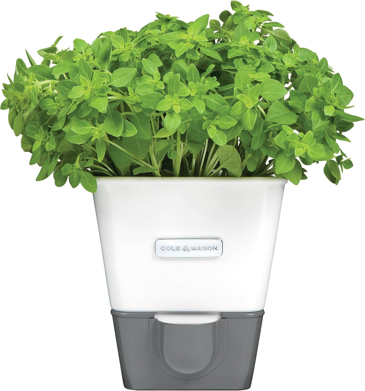 Cole &amp; Mason Burwell Self-Watering Potted Herb Keeper