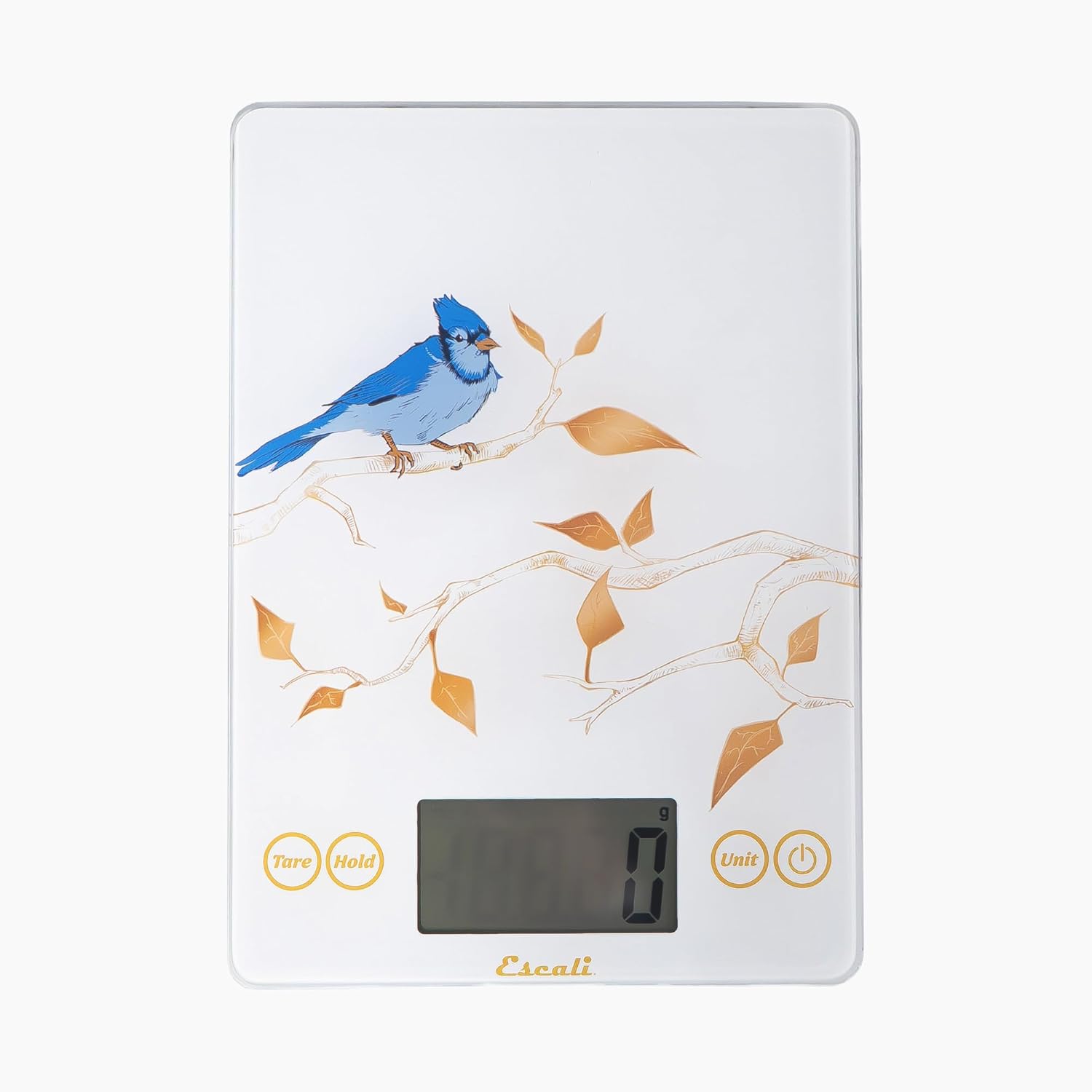 Escali Arti Blue Jay Glass Digital Scale – White