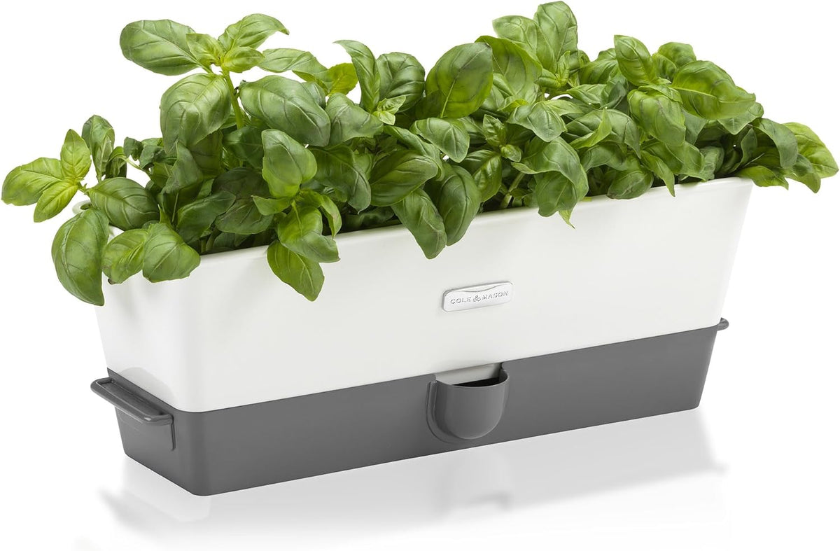 Cole &amp; Mason Burwell Self-Watering Potted Herb Keeper – Triple