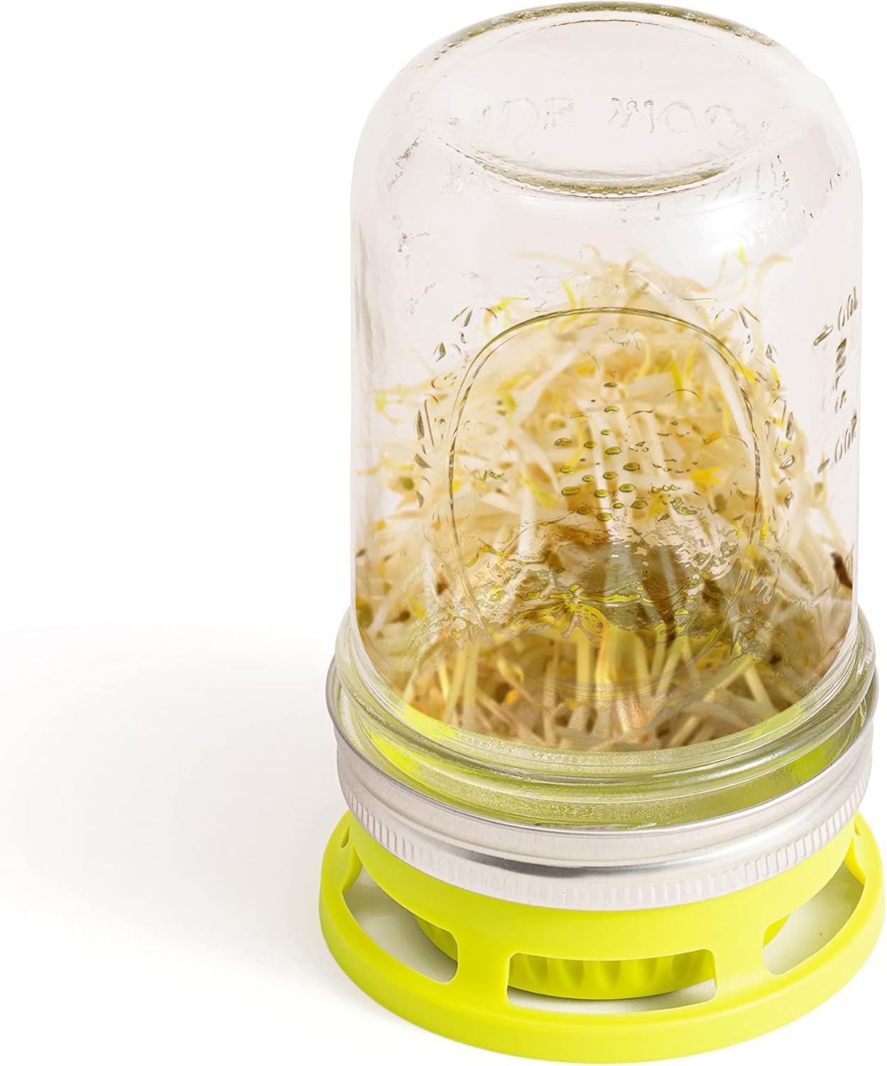 Jarware Seed Sprouter Set of 2