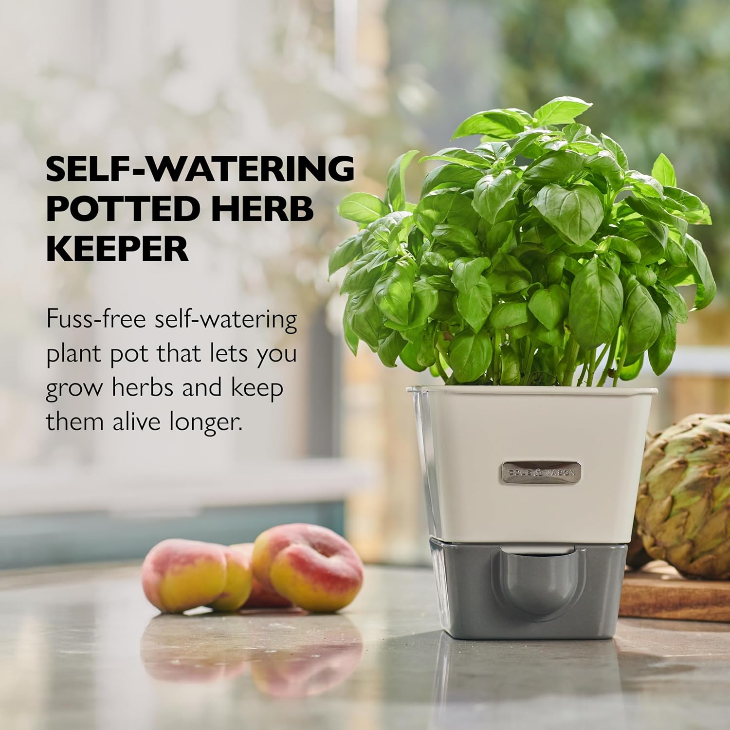 Cole & Mason Burwell Self-Watering Potted Herb Keeper