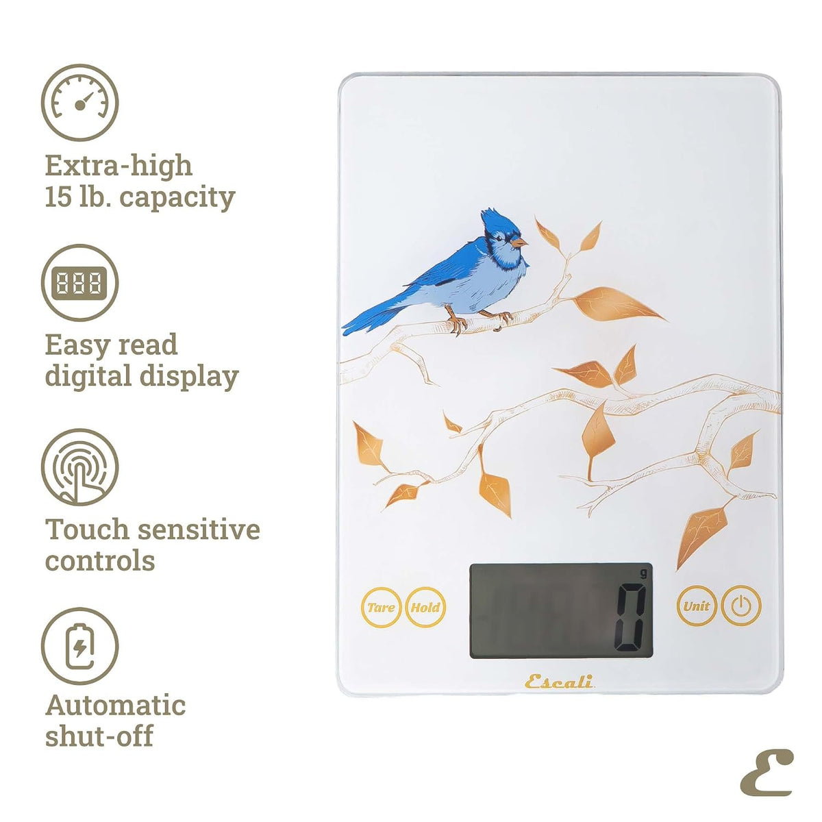 Escali Arti Blue Jay Glass Digital Scale – White