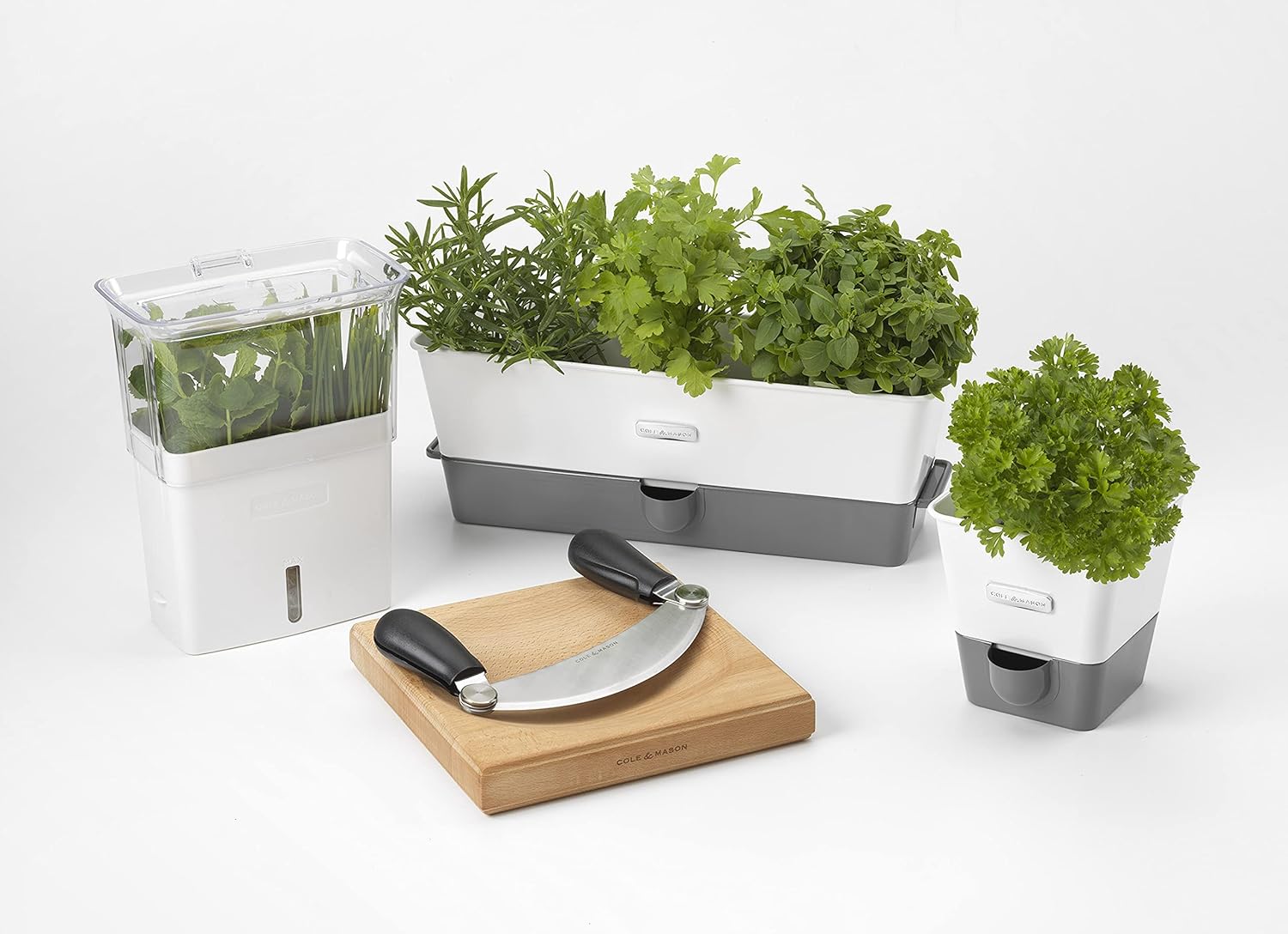 Cole & Mason Burwell Self-Watering Potted Herb Keeper – Triple