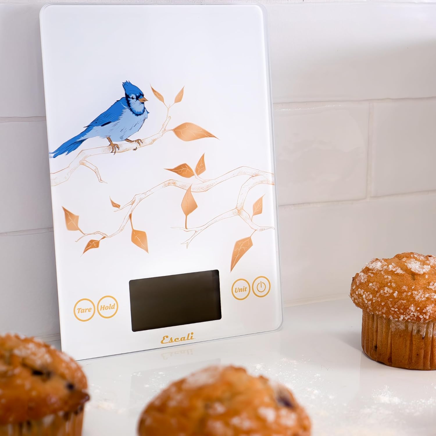 Escali Arti Blue Jay Glass Digital Scale – White