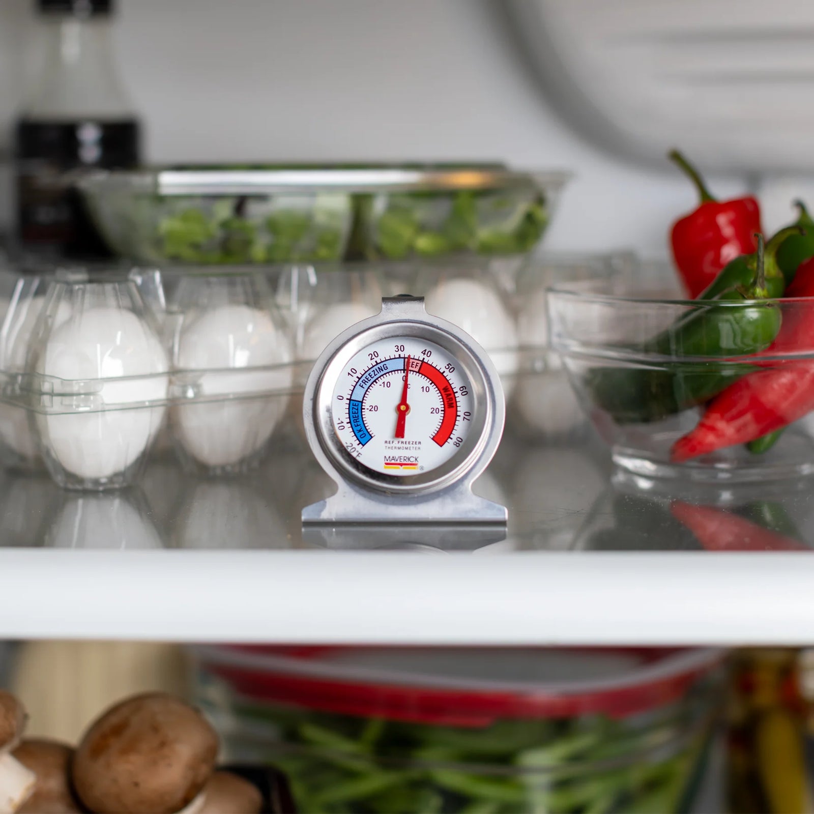 Maverick Refrigerator Freezer Thermometer