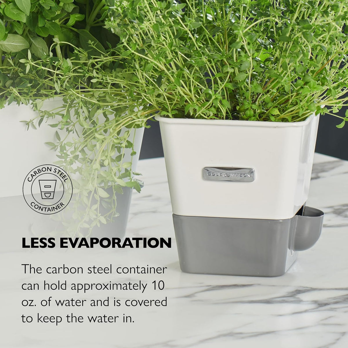 Cole & Mason Burwell Self-Watering Potted Herb Keeper