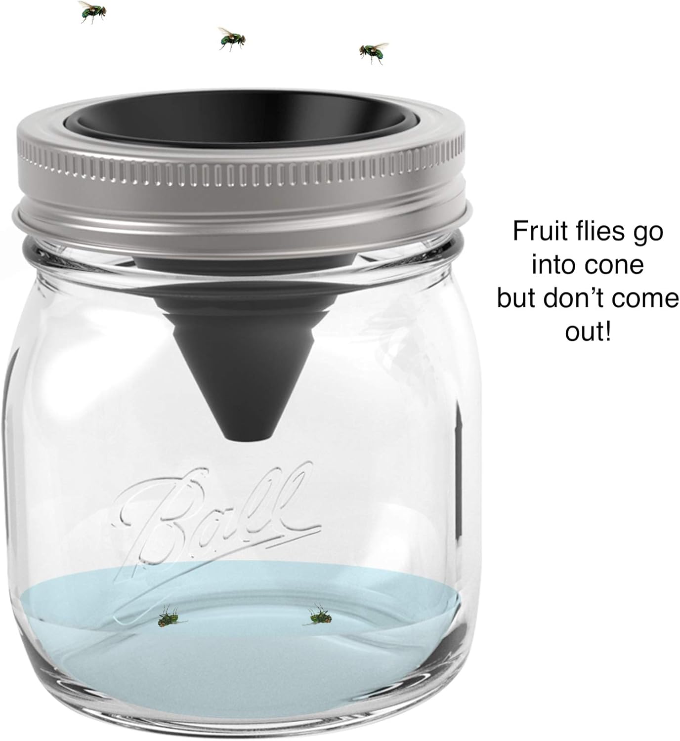 Jarware Fruit Fly Trap Set