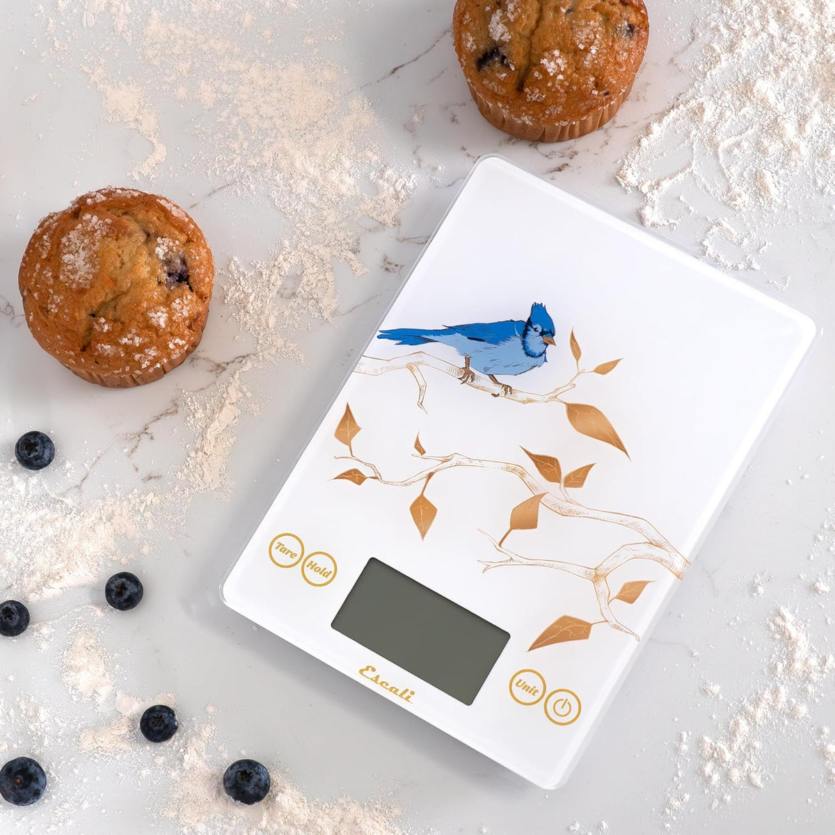 Escali Arti Blue Jay Glass Digital Scale – White
