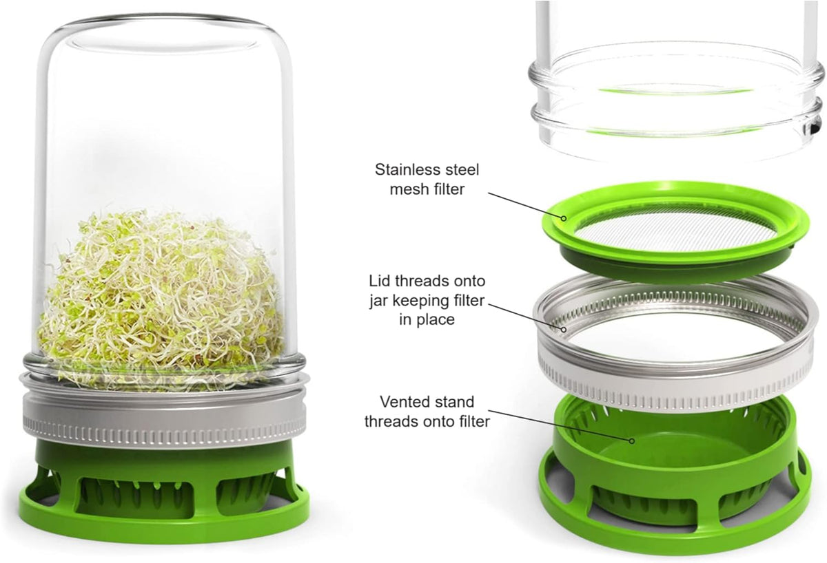 Jarware Seed Sprouter Set of 2