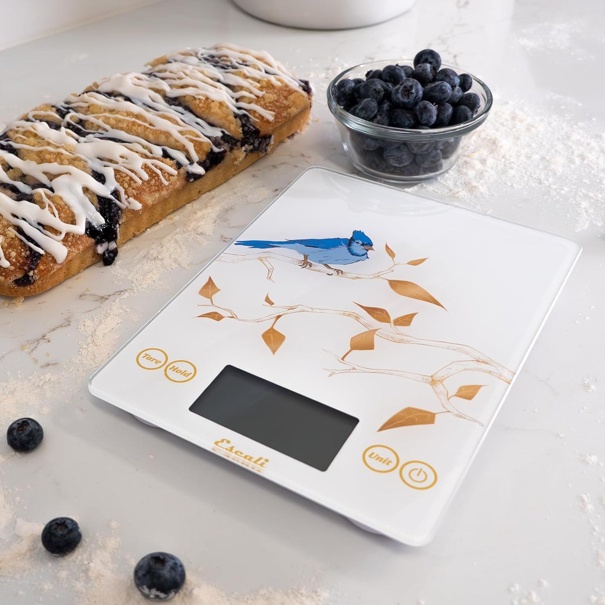 Escali Arti Blue Jay Glass Digital Scale – White