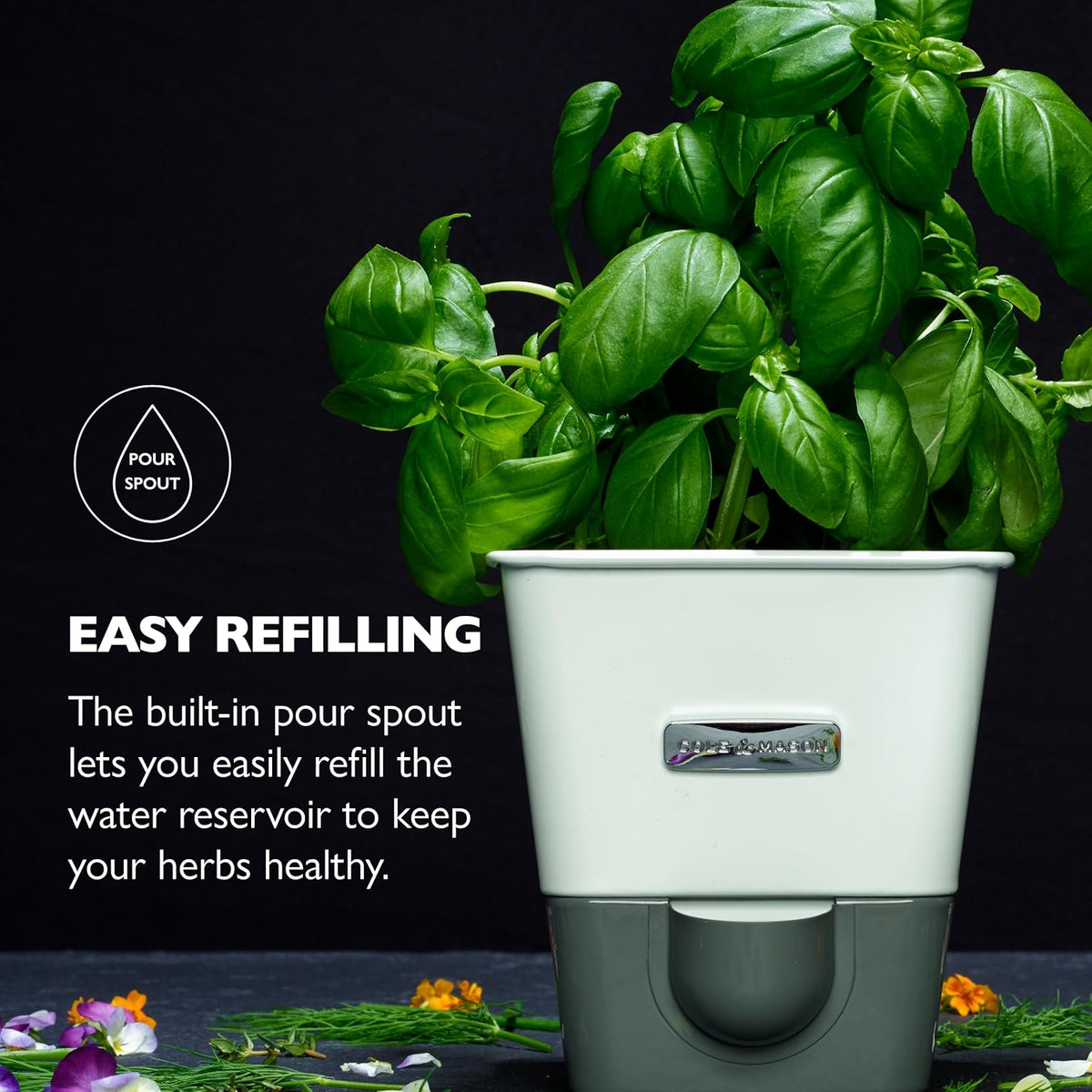 Cole & Mason Burwell Self-Watering Potted Herb Keeper