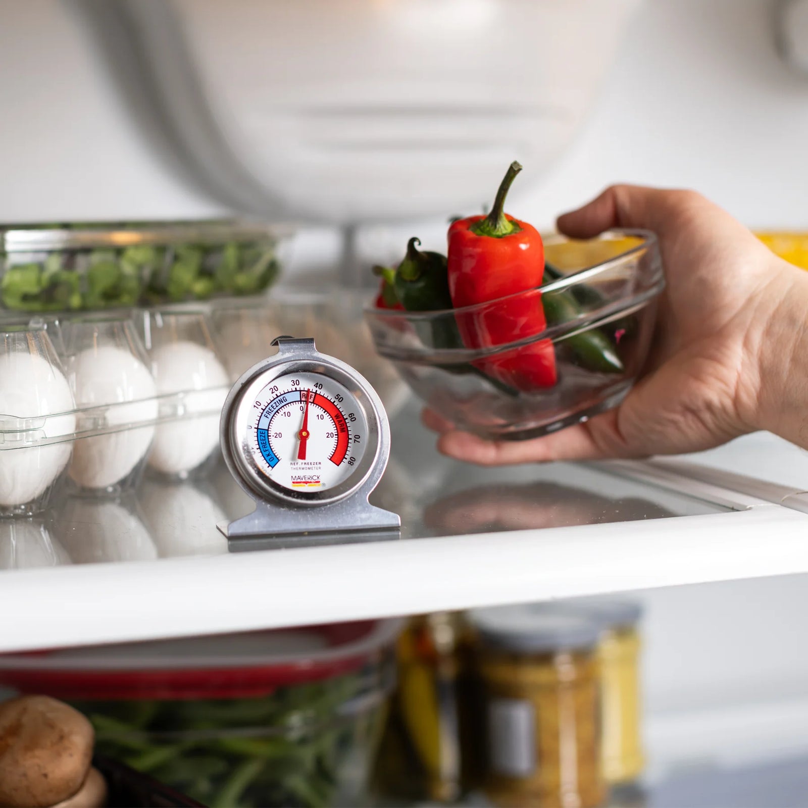 Maverick Refrigerator Freezer Thermometer