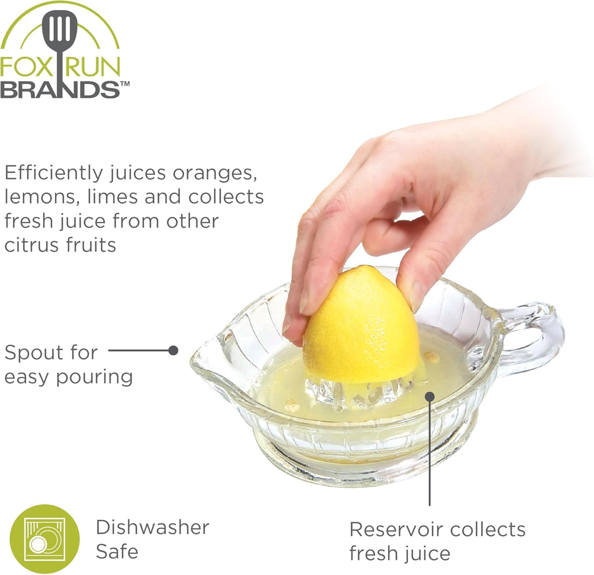 Fox Run Glass Citrus Juicer