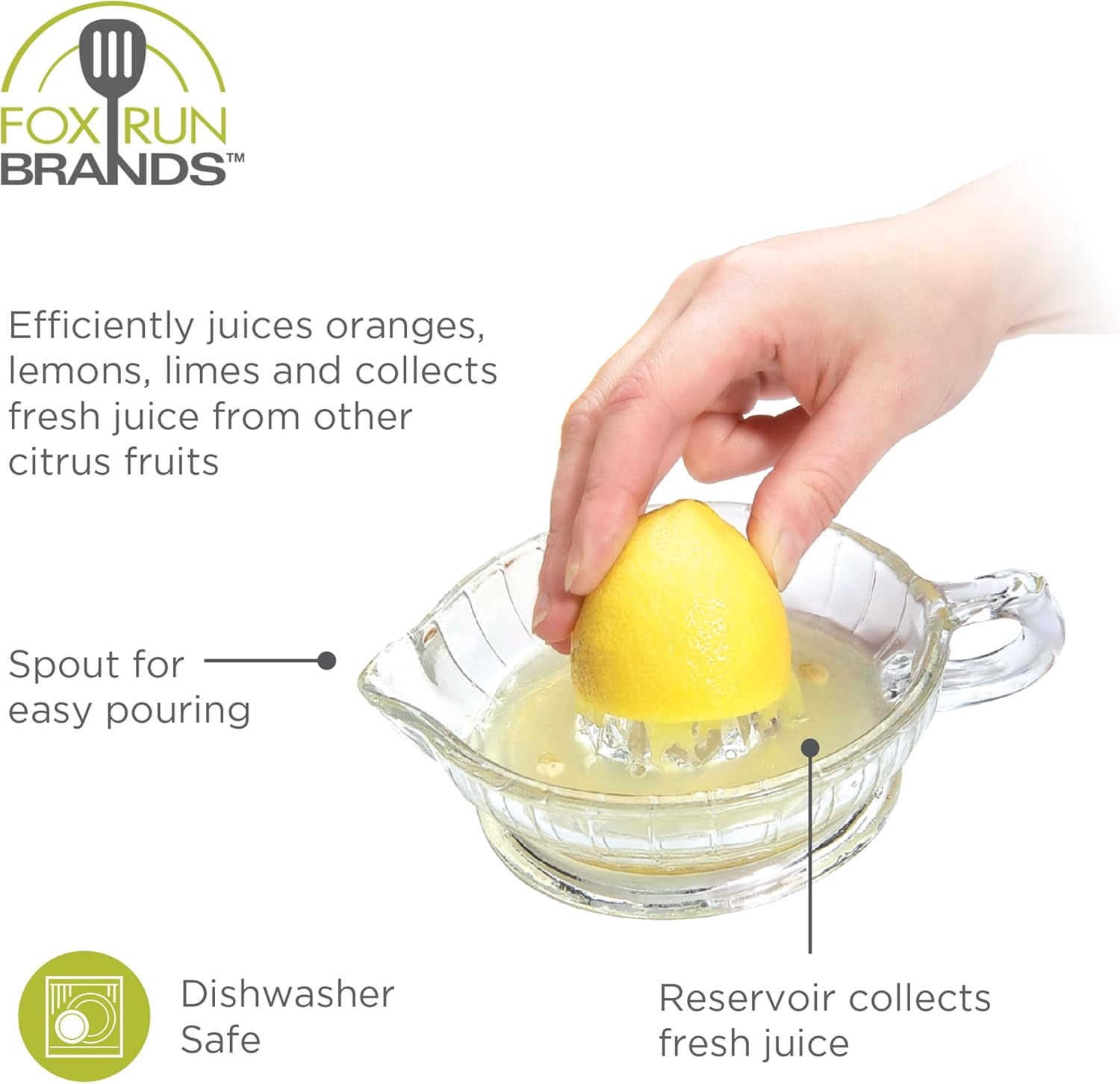 Fox Run Glass Citrus Juicer