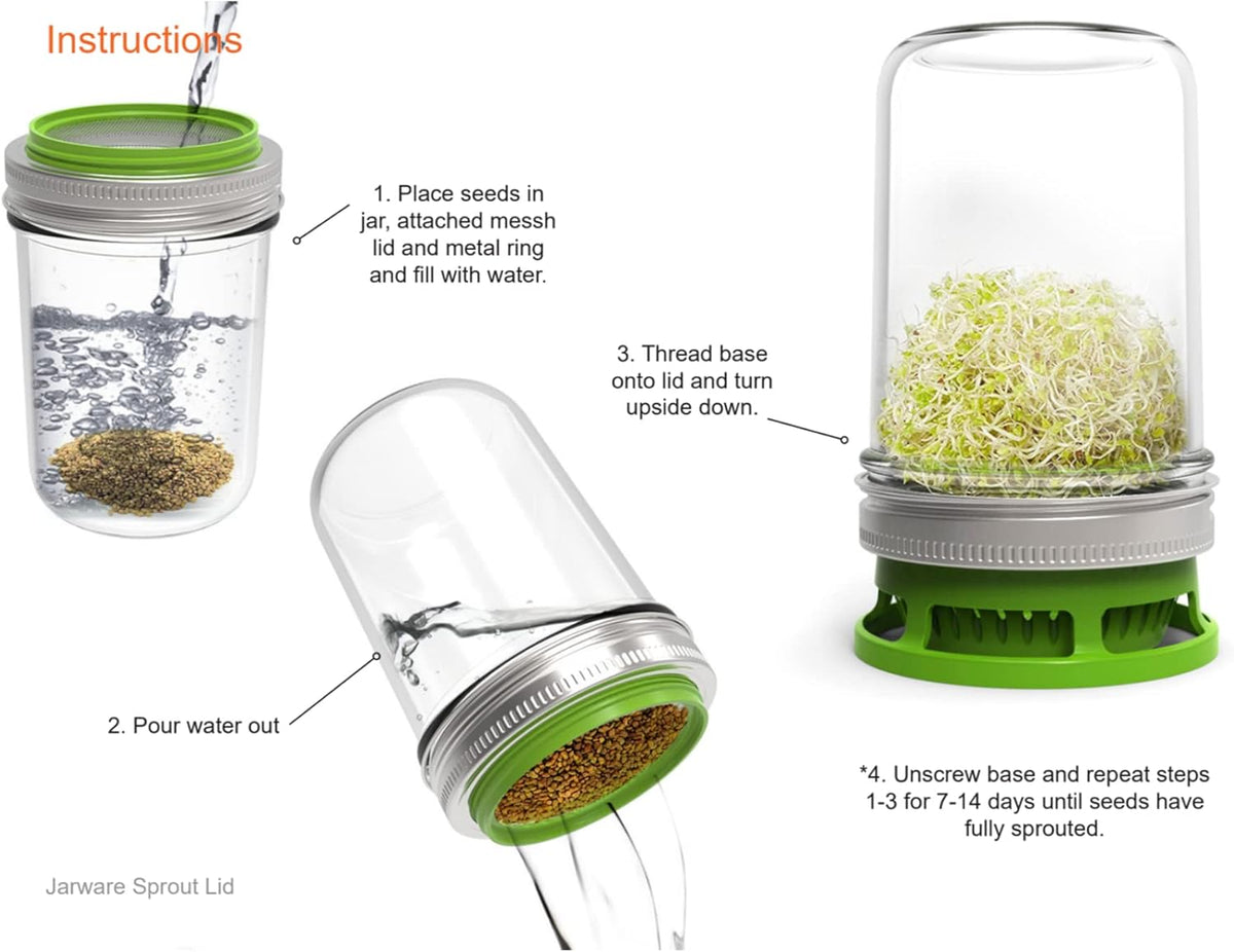 Jarware Seed Sprouter Set of 2