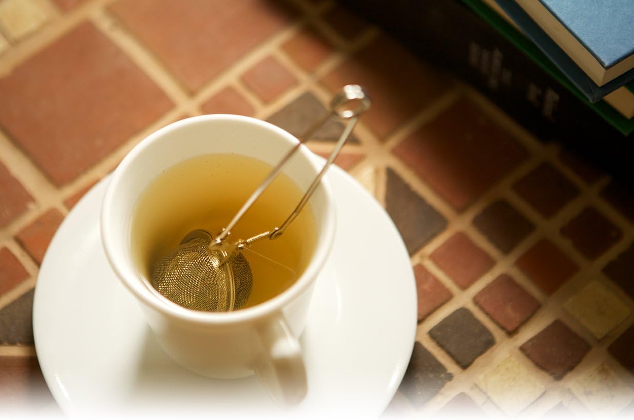 Fox Run Spring Tea Infuser