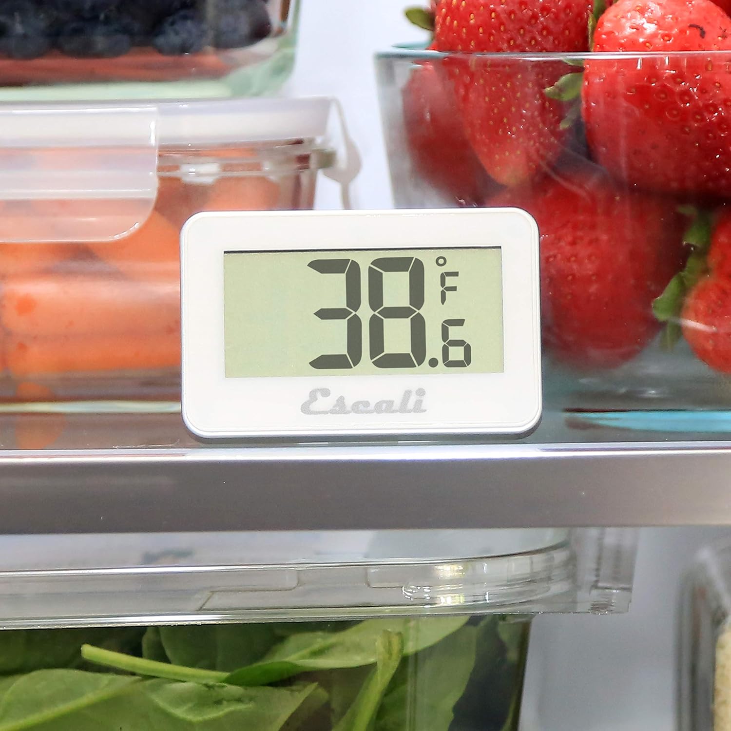 Escali Large Display Digital Fridge & Freezer Thermometer