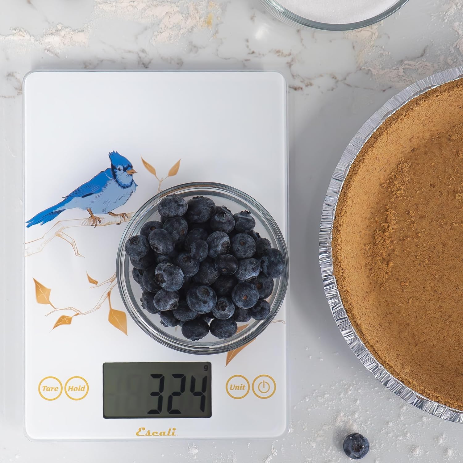 Escali Arti Blue Jay Glass Digital Scale – White