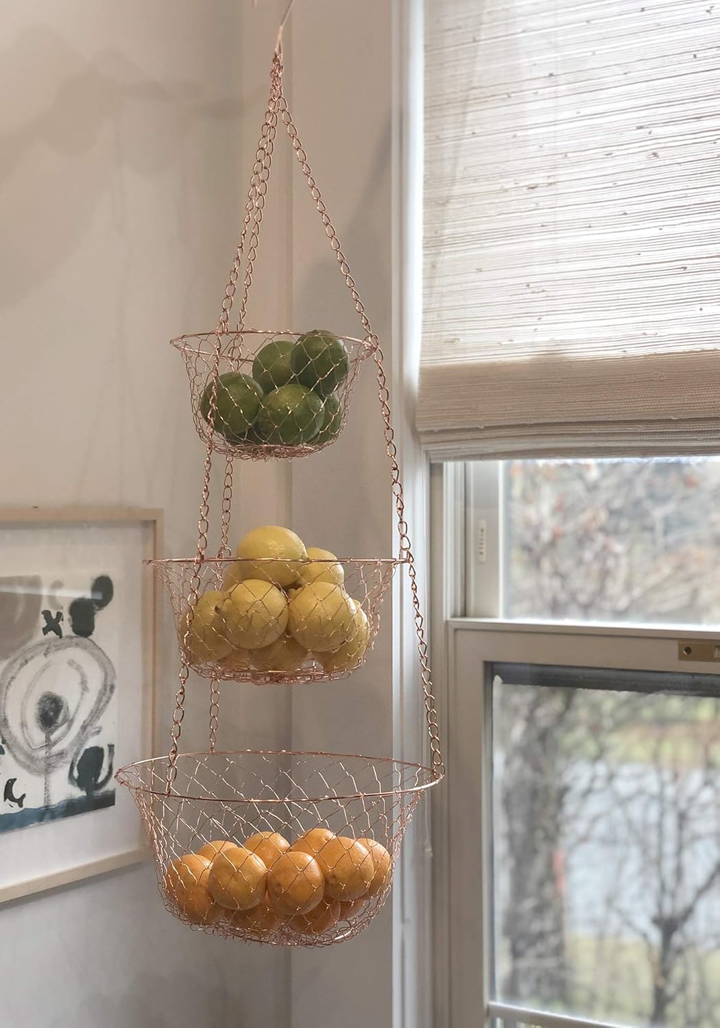 Fox Run Copper Hanging Basket