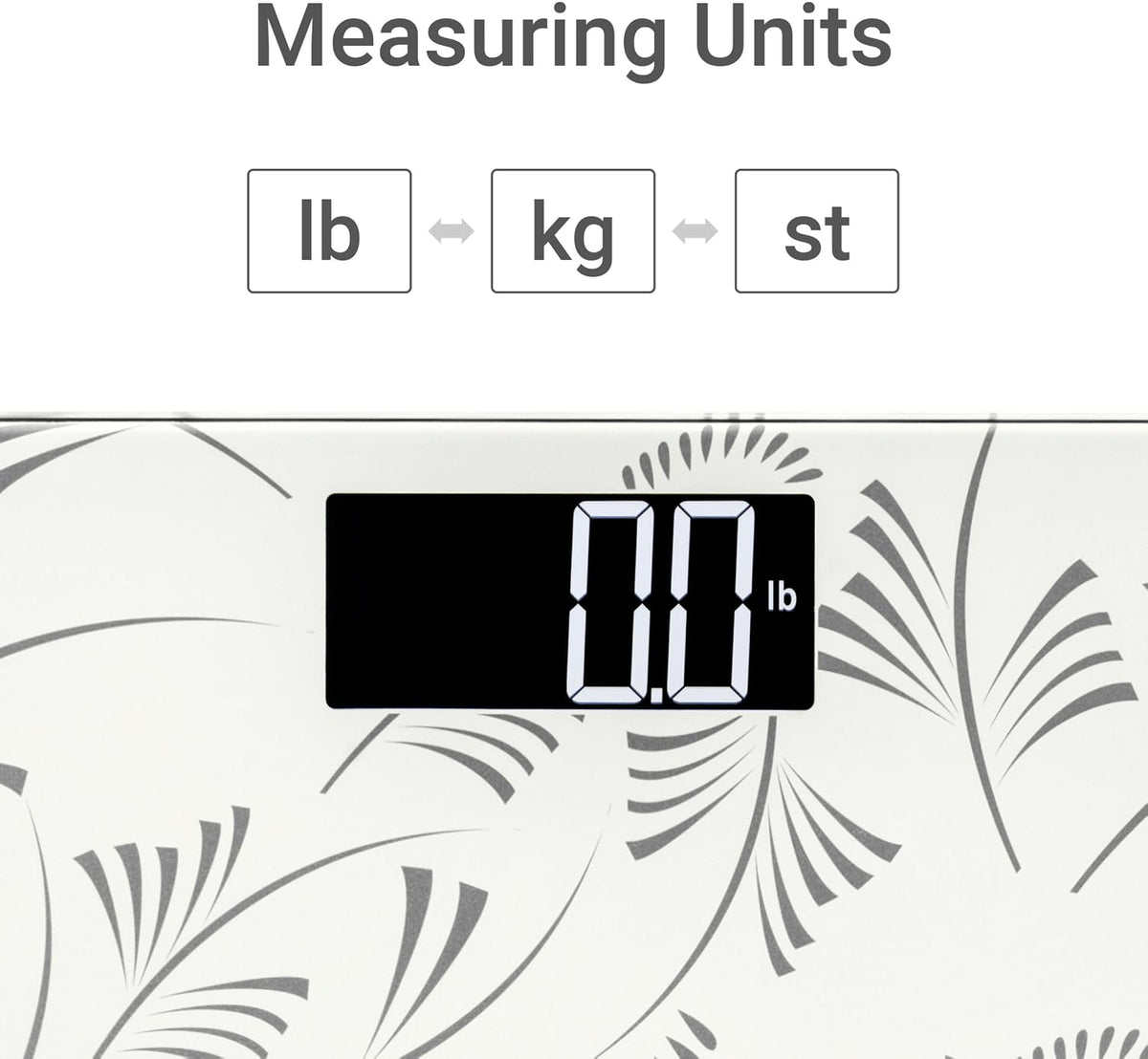 Escali Compact Body Scale