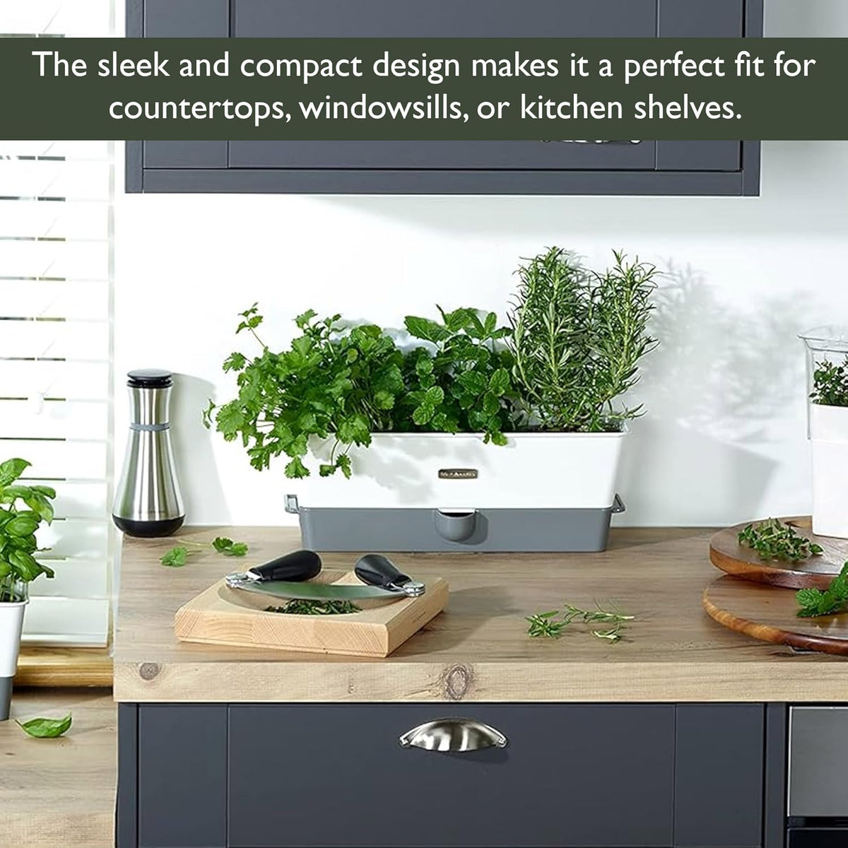 Cole & Mason Burwell Self-Watering Potted Herb Keeper – Triple