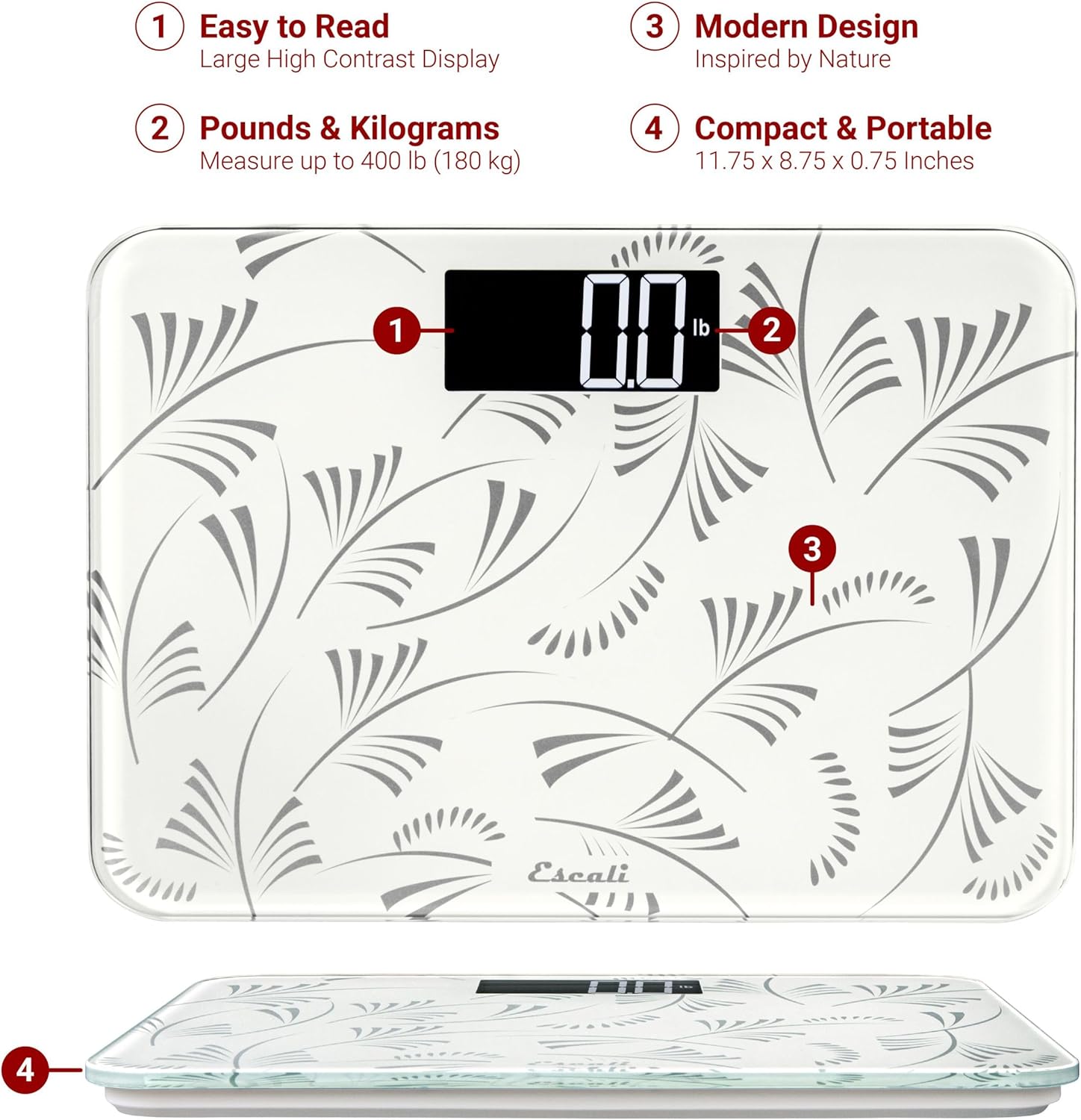 Escali Compact Body Scale