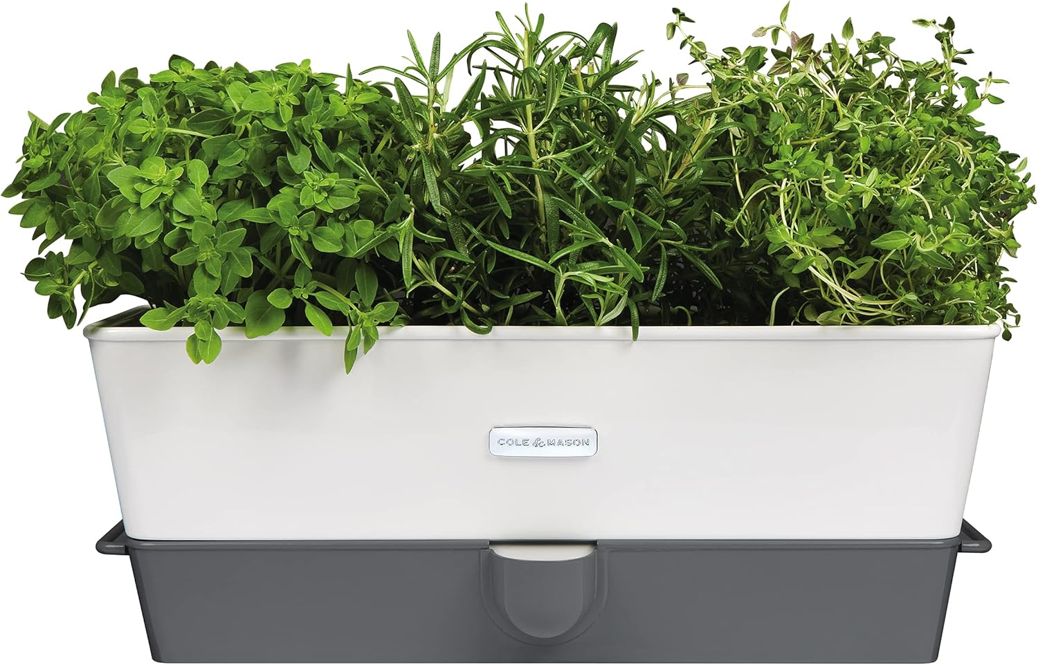 Cole & Mason Burwell Self-Watering Potted Herb Keeper – Triple