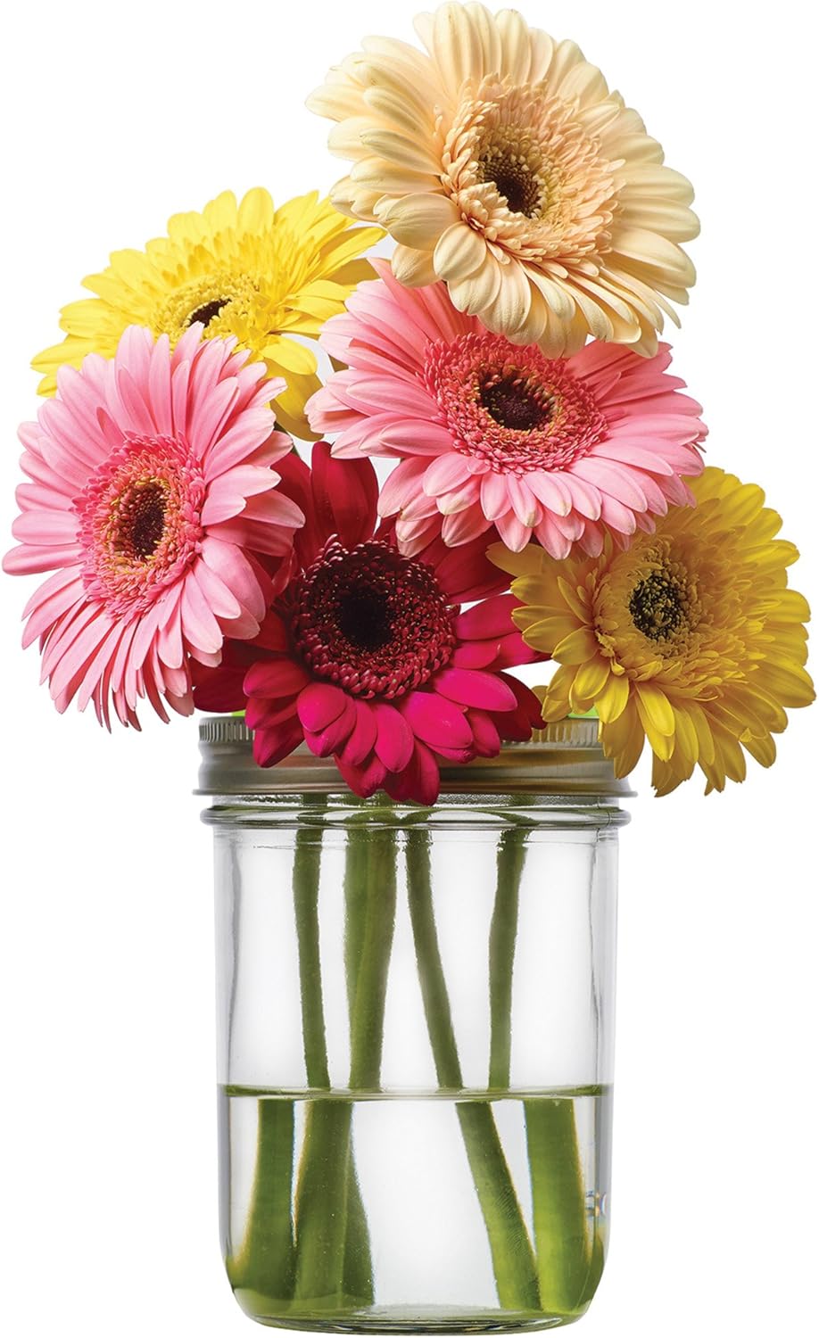 Jarware Flower Frog Grid