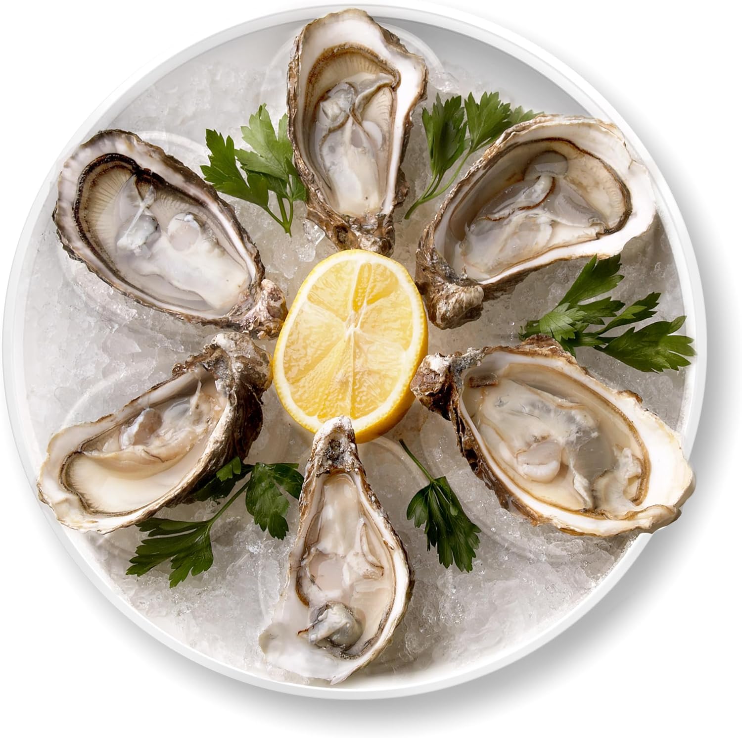 Outset Melamine Oyster Plate