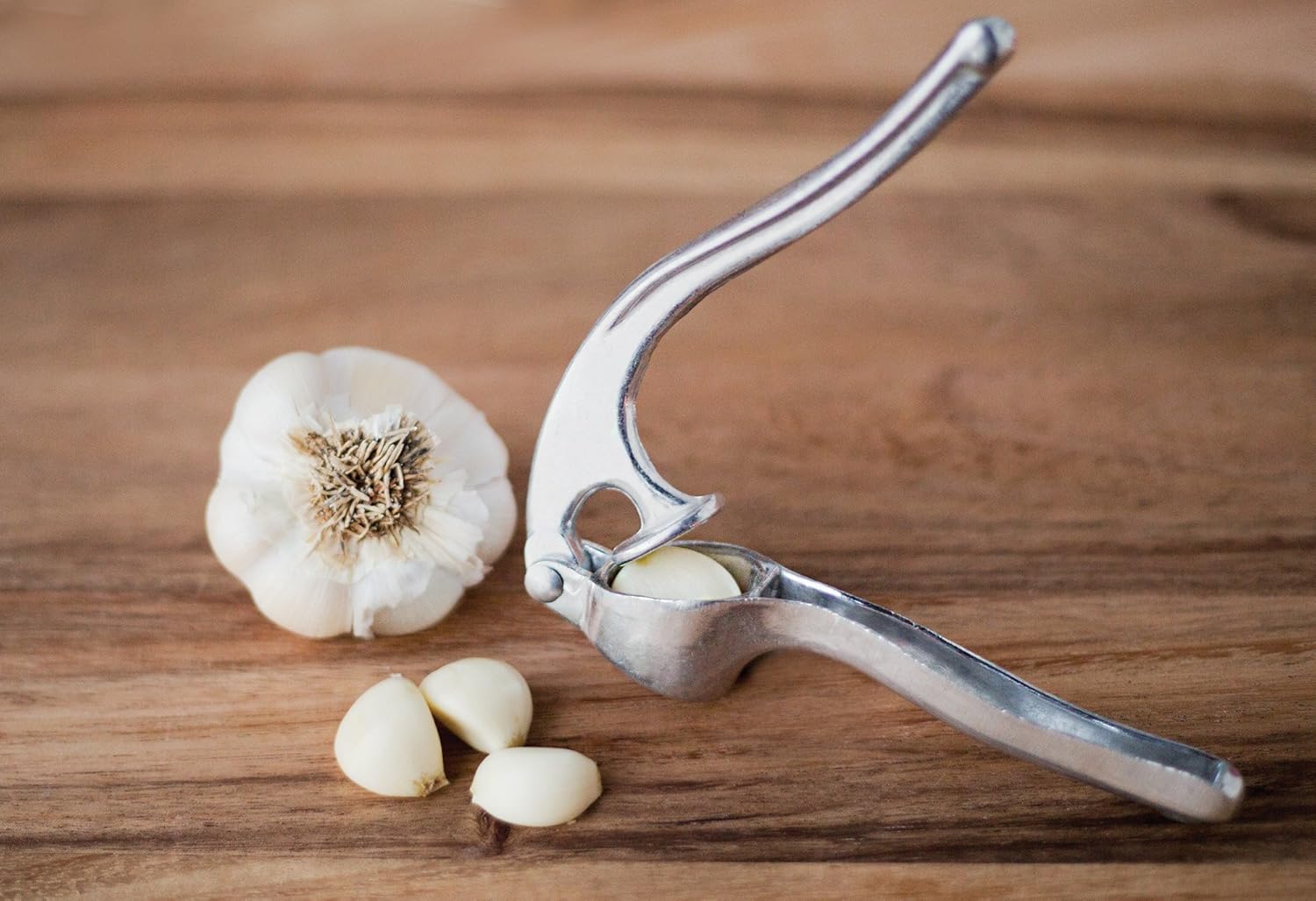 Fox Run Garlic Press