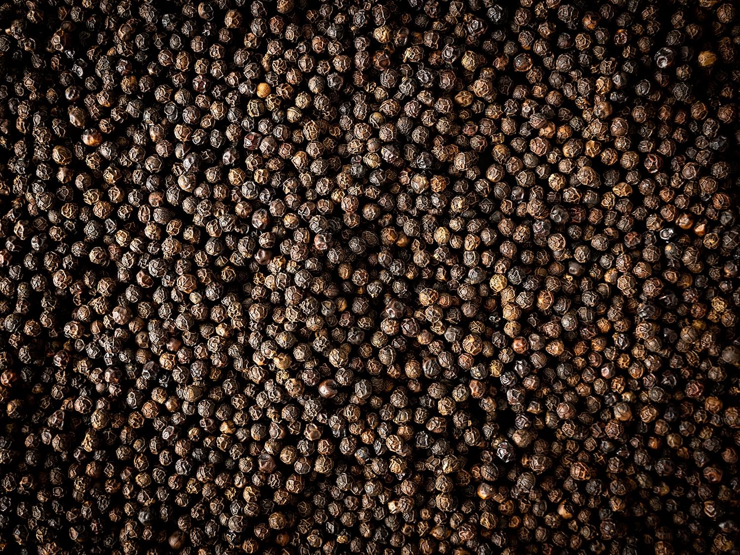 Peugeot Kampot Cambodia Black Pepper – 60 g
