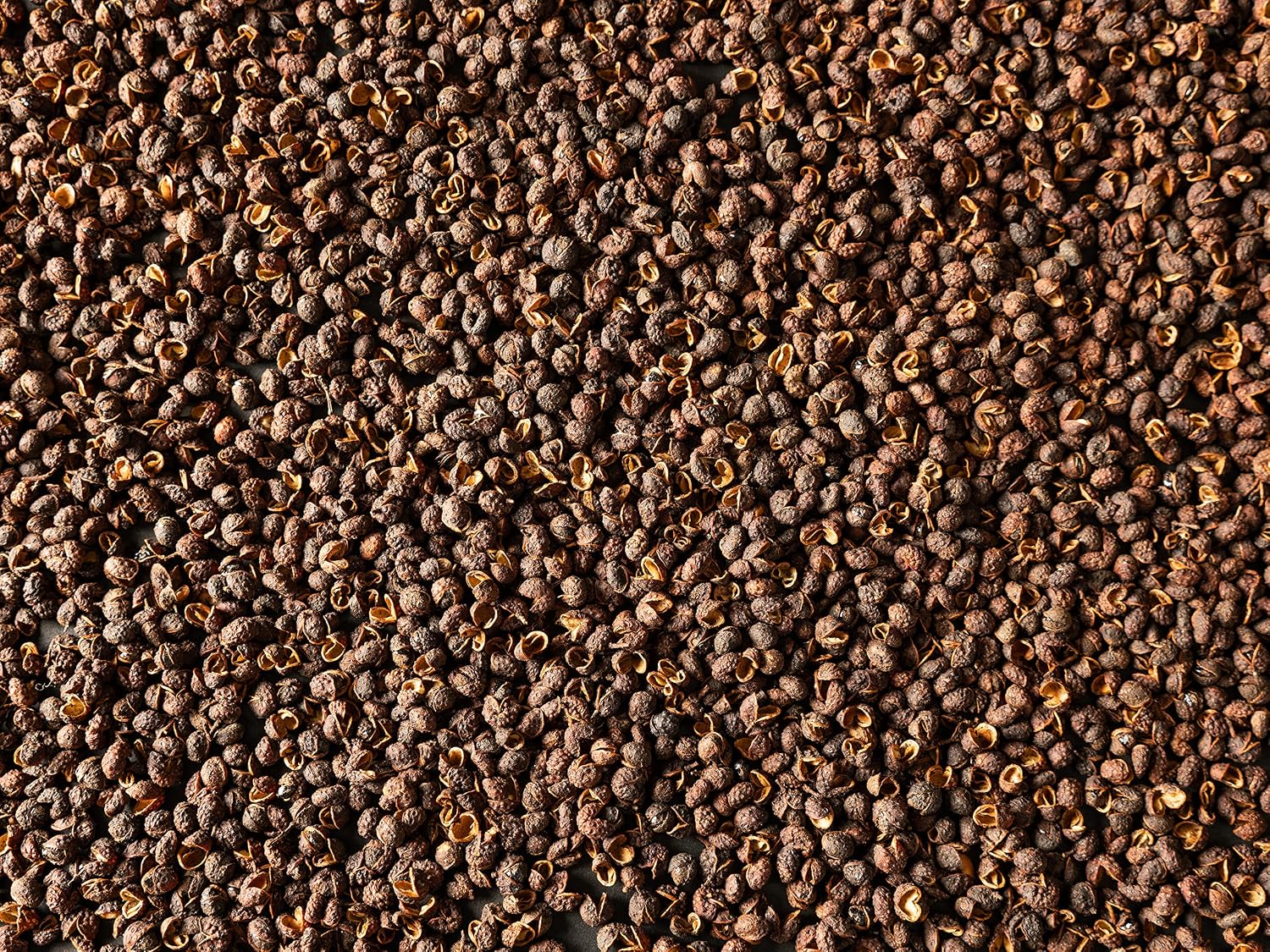 Peugeot Timut Nepal Wild Peppercorns – 40 g
