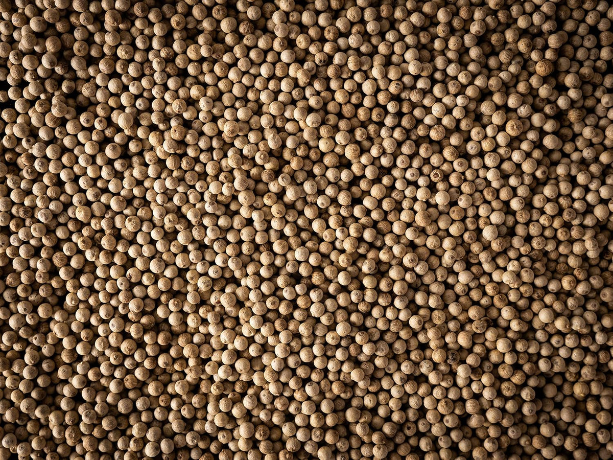 Peugeot Sikara Madagascar White Pepper – 60 g