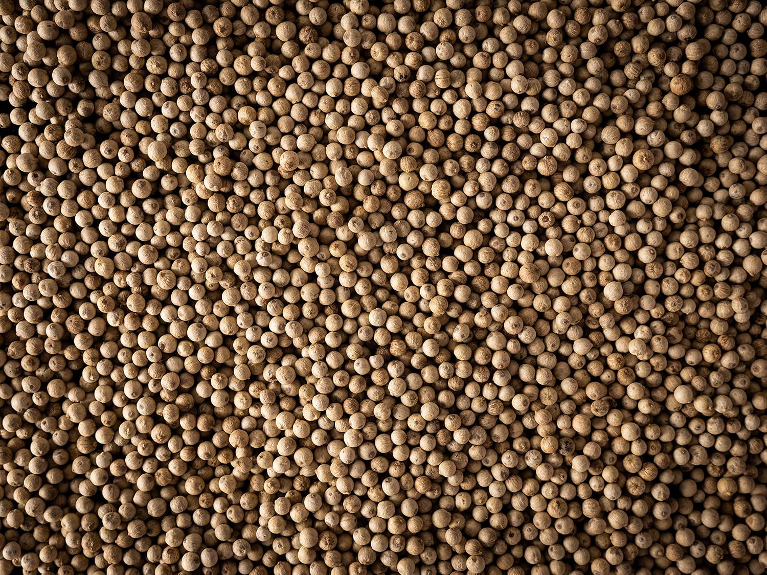 Peugeot Sikara Madagascar White Pepper – 60 g