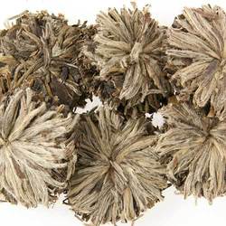 Metropolitan Tea Jasmine Bai Mu Dan Artisan Loose Leaf Tea