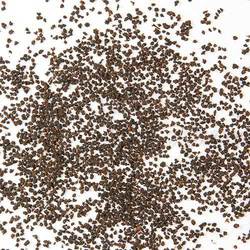 Metropolitan Tea Ambangulu BP1 Loose Leaf Black Tea 1.1 lbs