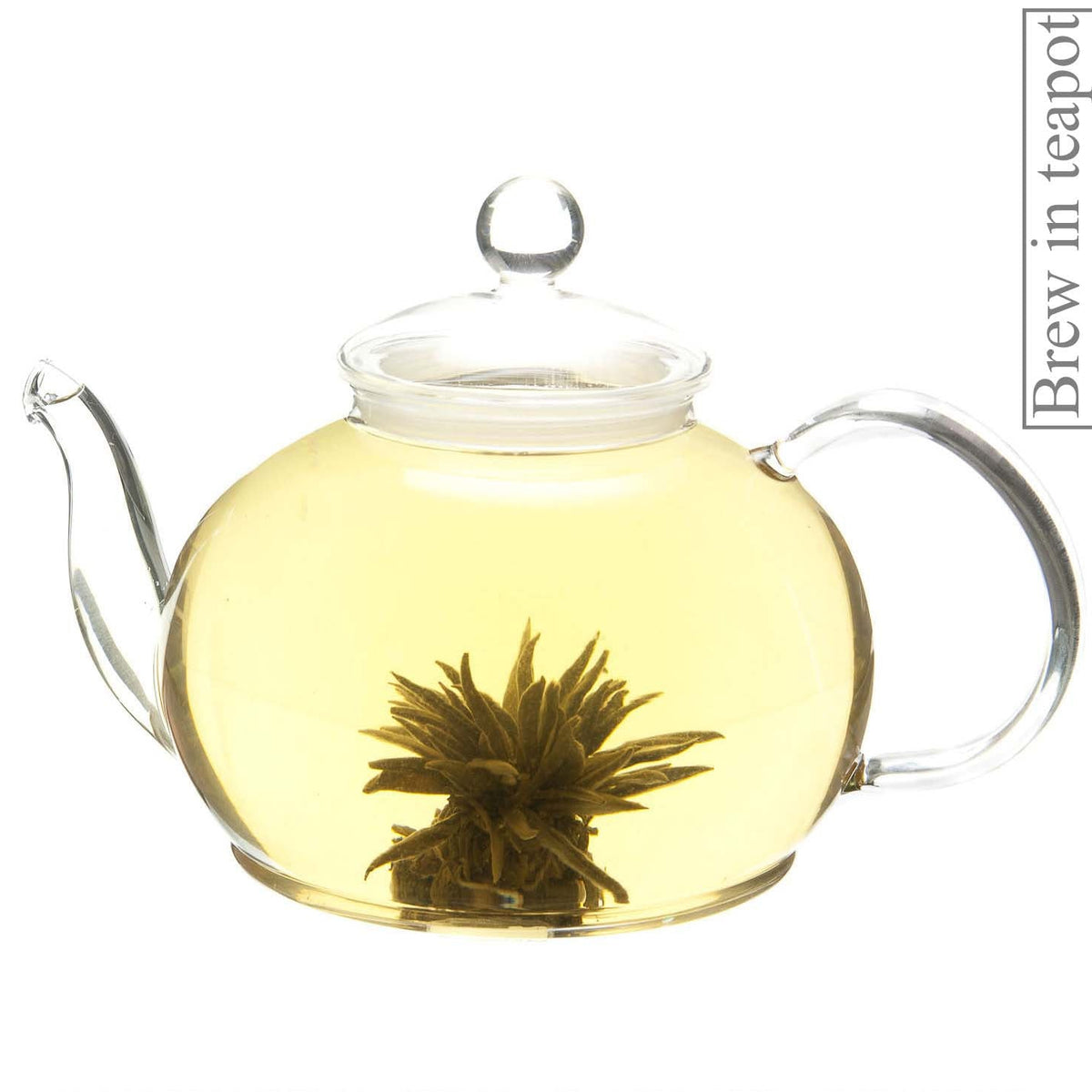 Metropolitan Tea Silver Balls Green Artisan Loose Leaf Tea 1.1 lbs