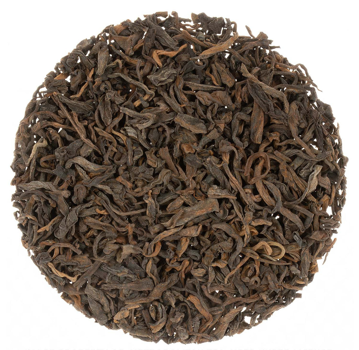 Metropolitan Tea Gilded Pu-erh 2005 Vintage Loose Leaf Tea 2.2 lbs