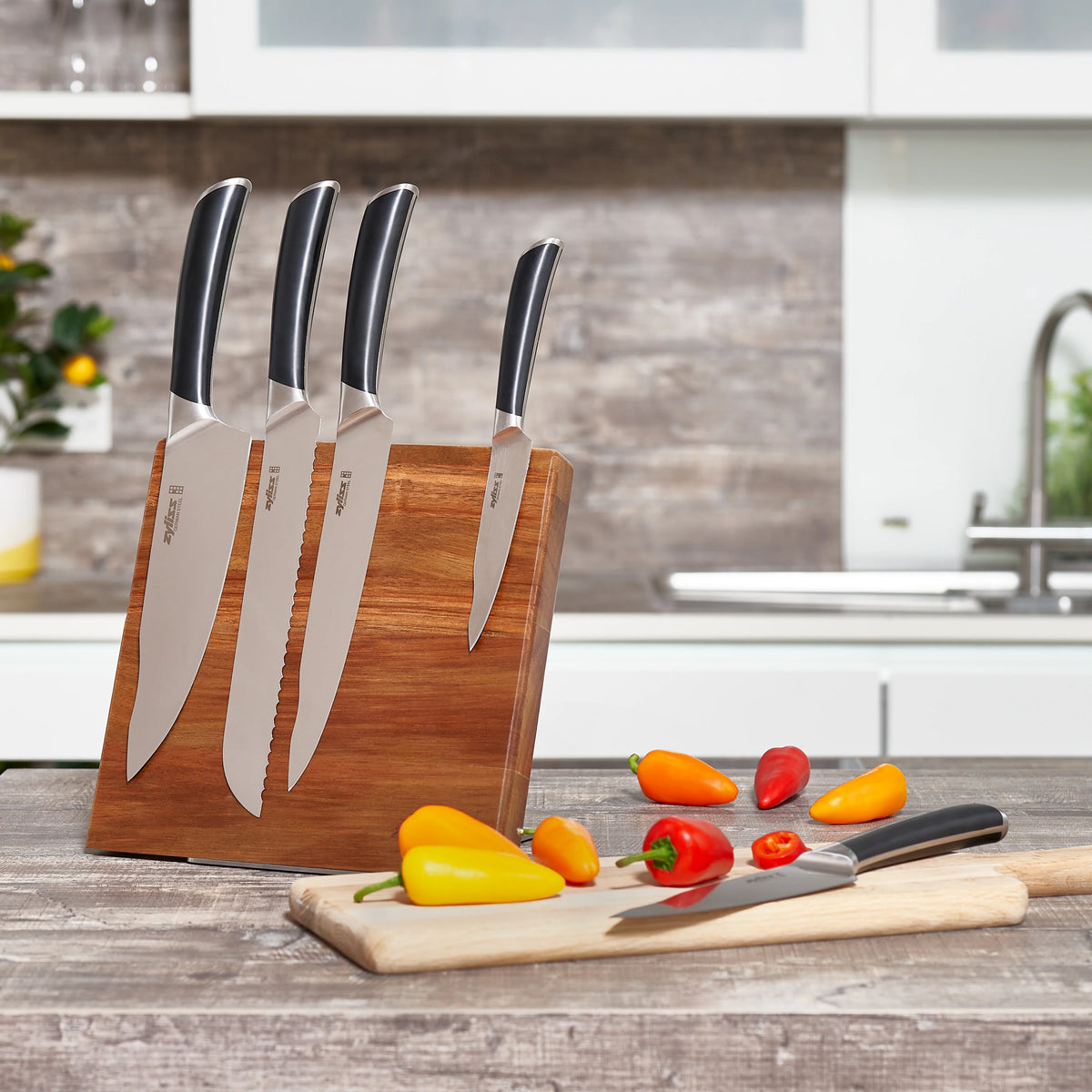 Zyliss Comfort Pro Magnetic Knife Block