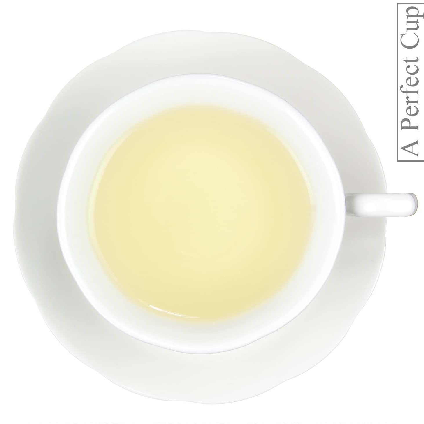 Metropolitan Tea Fine Cut Tangerine Loose Leaf Tea 1.65 lbs