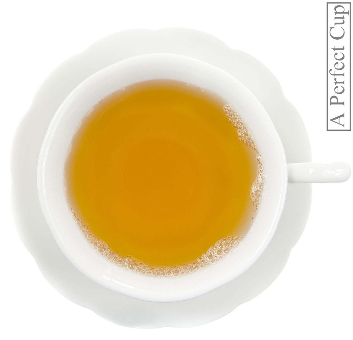 Metropolitan Tea Vanilla Bean Dream Loose Leaf Green Tea 1.1 lbs