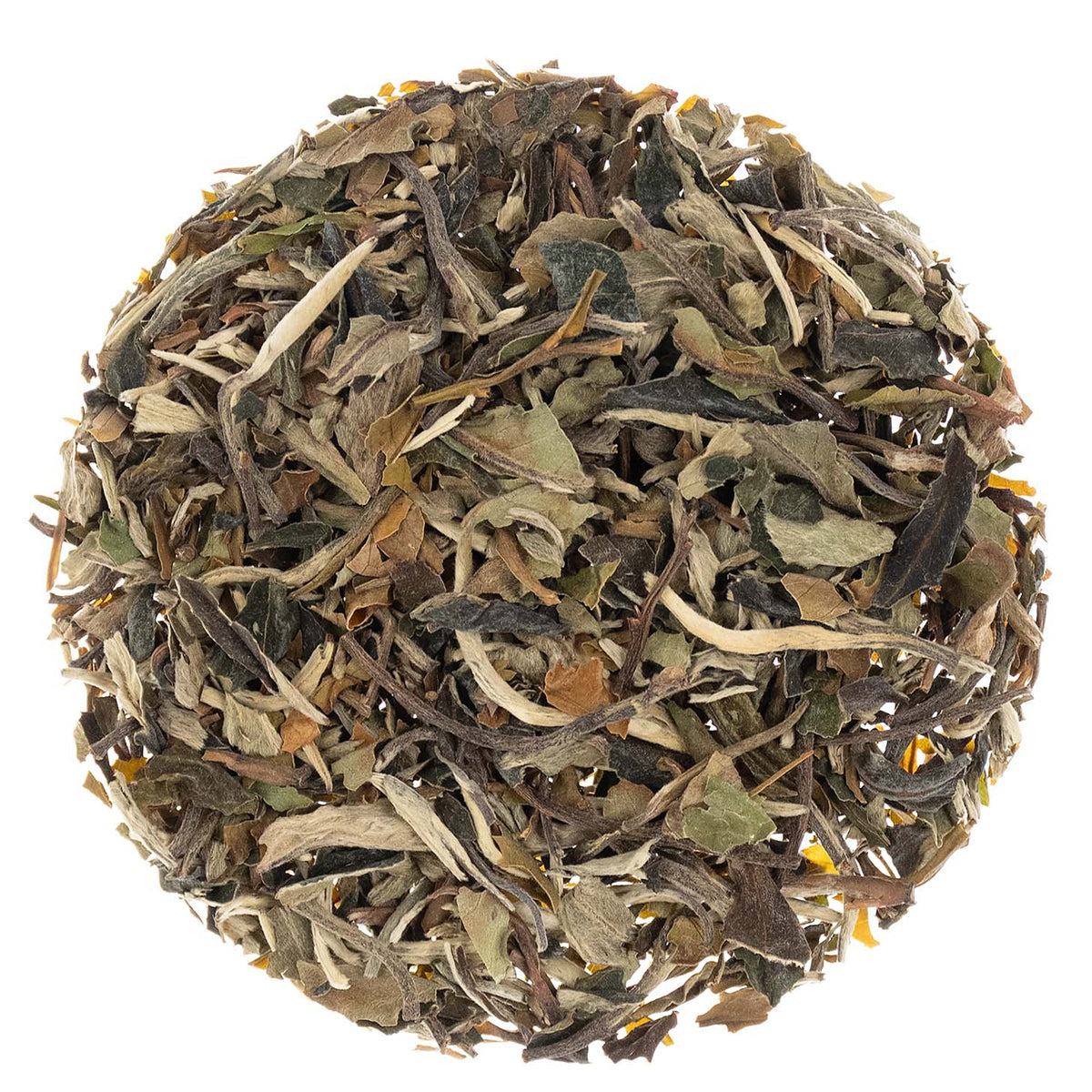 Metropolitan Tea Cream Earl Grey White Loose Leaf Tea 1.1 lbs
