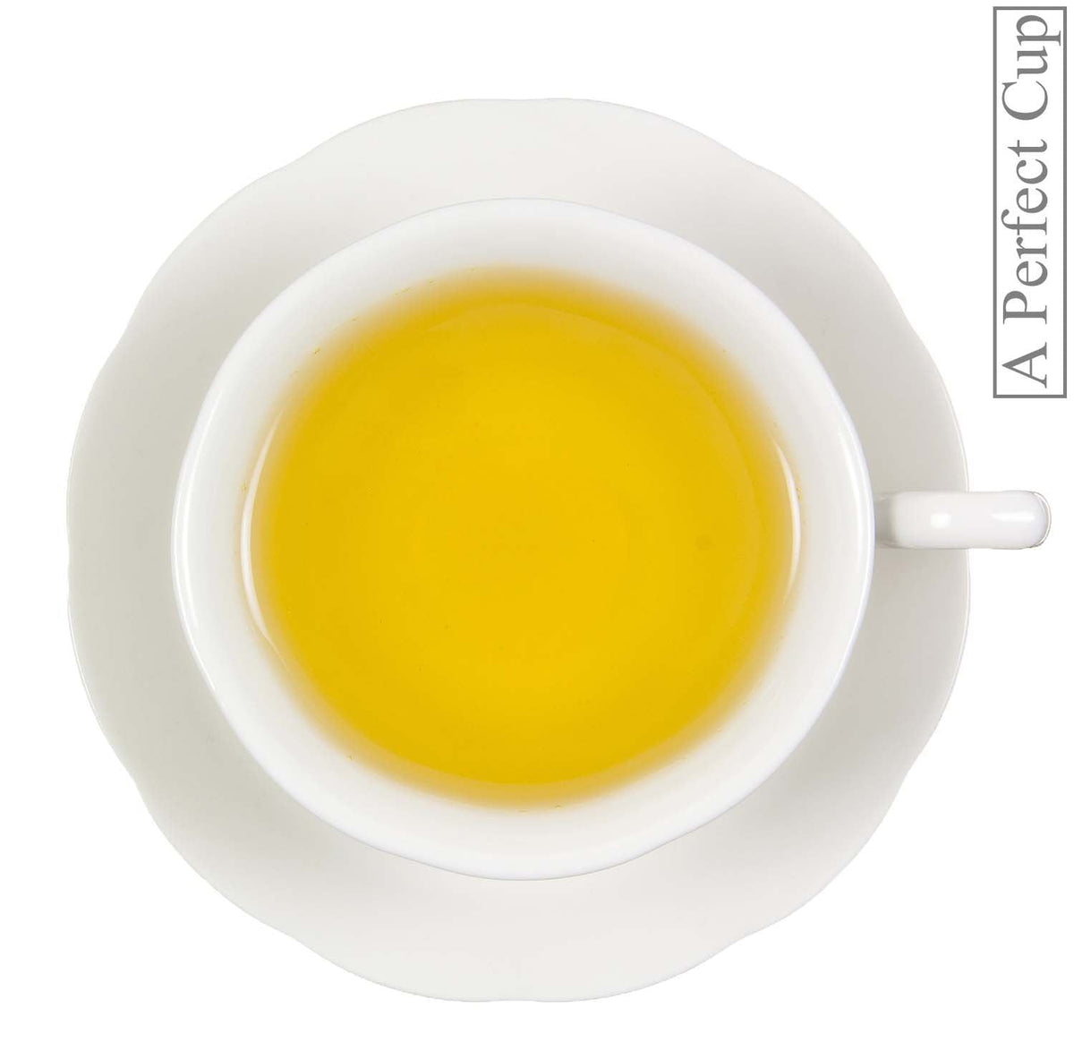 Metropolitan Tea Zesty Tulsi Cold + Flu Loose Leaf Tea 1.1 lbs
