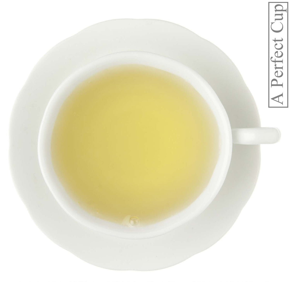 Metropolitan Tea Citrus Blossom Energy Loose Leaf Tea 1.1 lbs