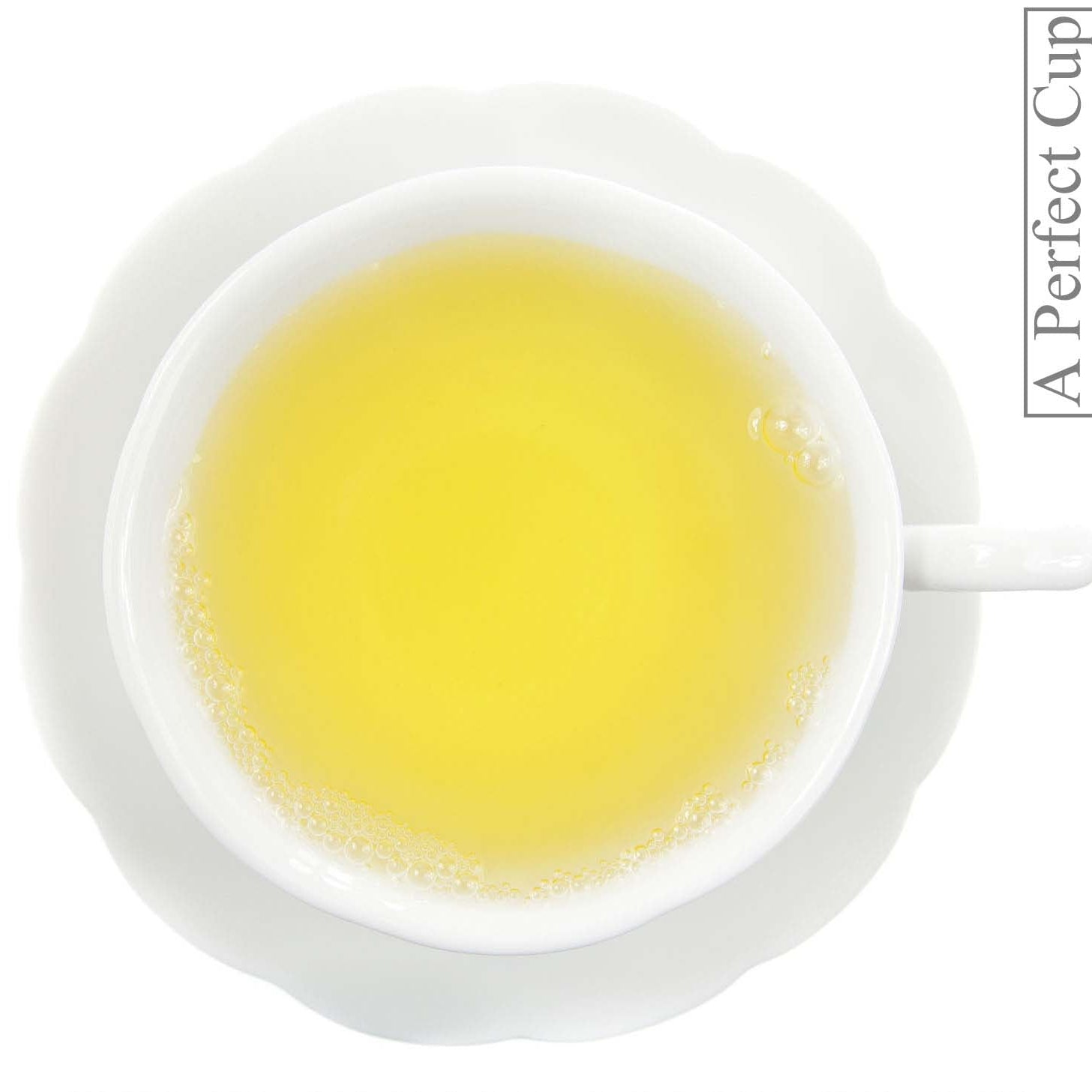 Metropolitan Tea Japan Genmaicha Yamasaki Loose Leaf Tea 1.1 lbs