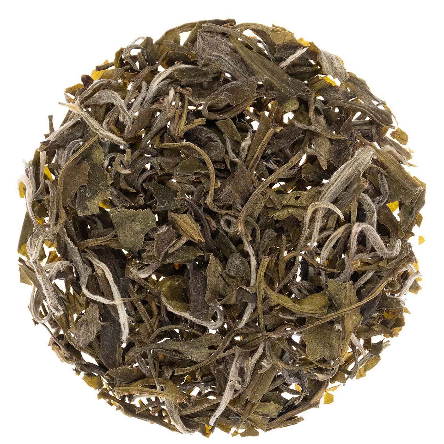 Metropolitan Tea Leopard Snow Buds Green Loose Leaf Tea 0.55 lbs