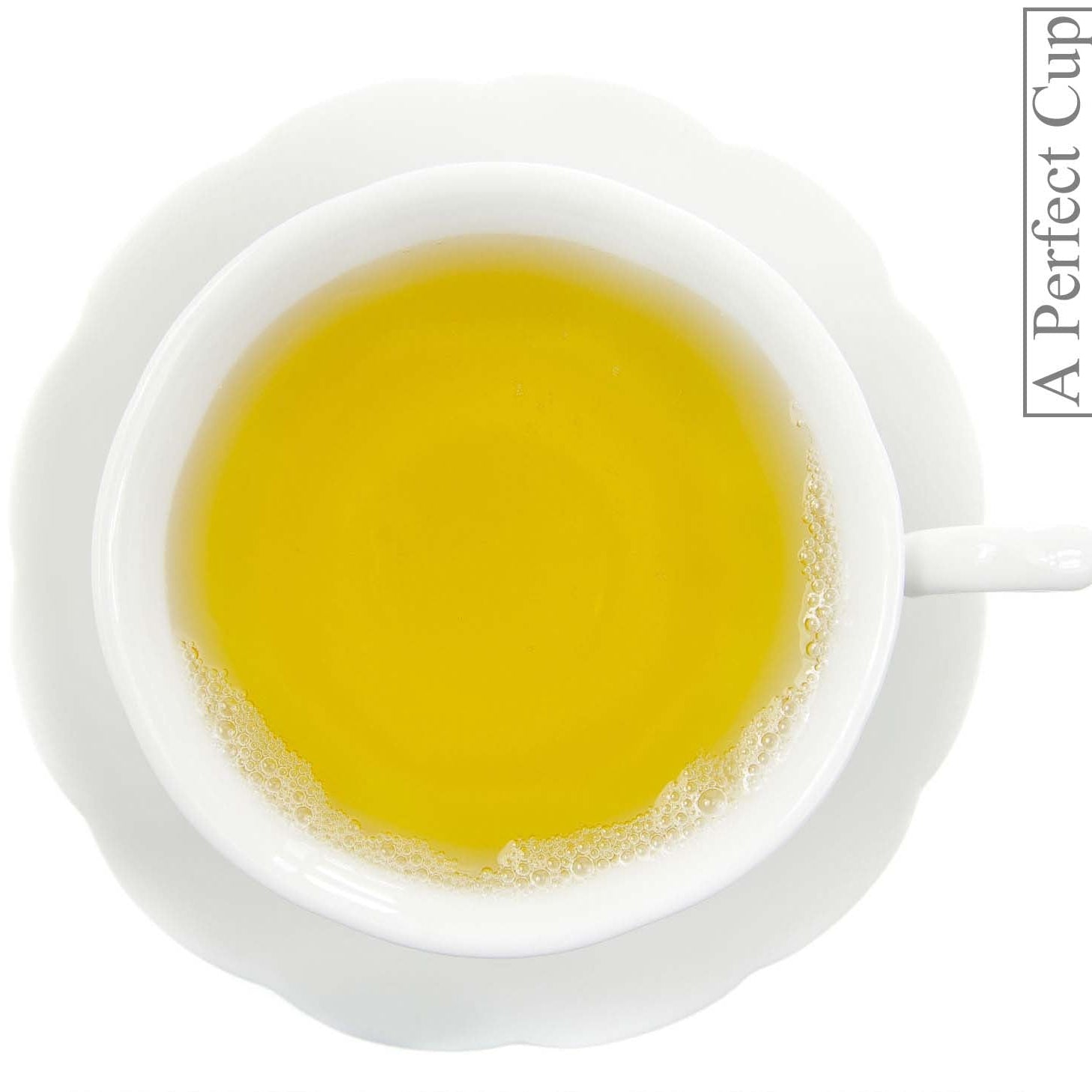Metropolitan Tea Mountain Dragon Green Loose Leaf Tea 1.1 lbs