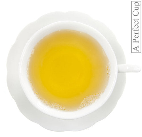 Metropolitan Tea Ceylon Green Tea Opaque Pyramid Tea Bags 500 Count