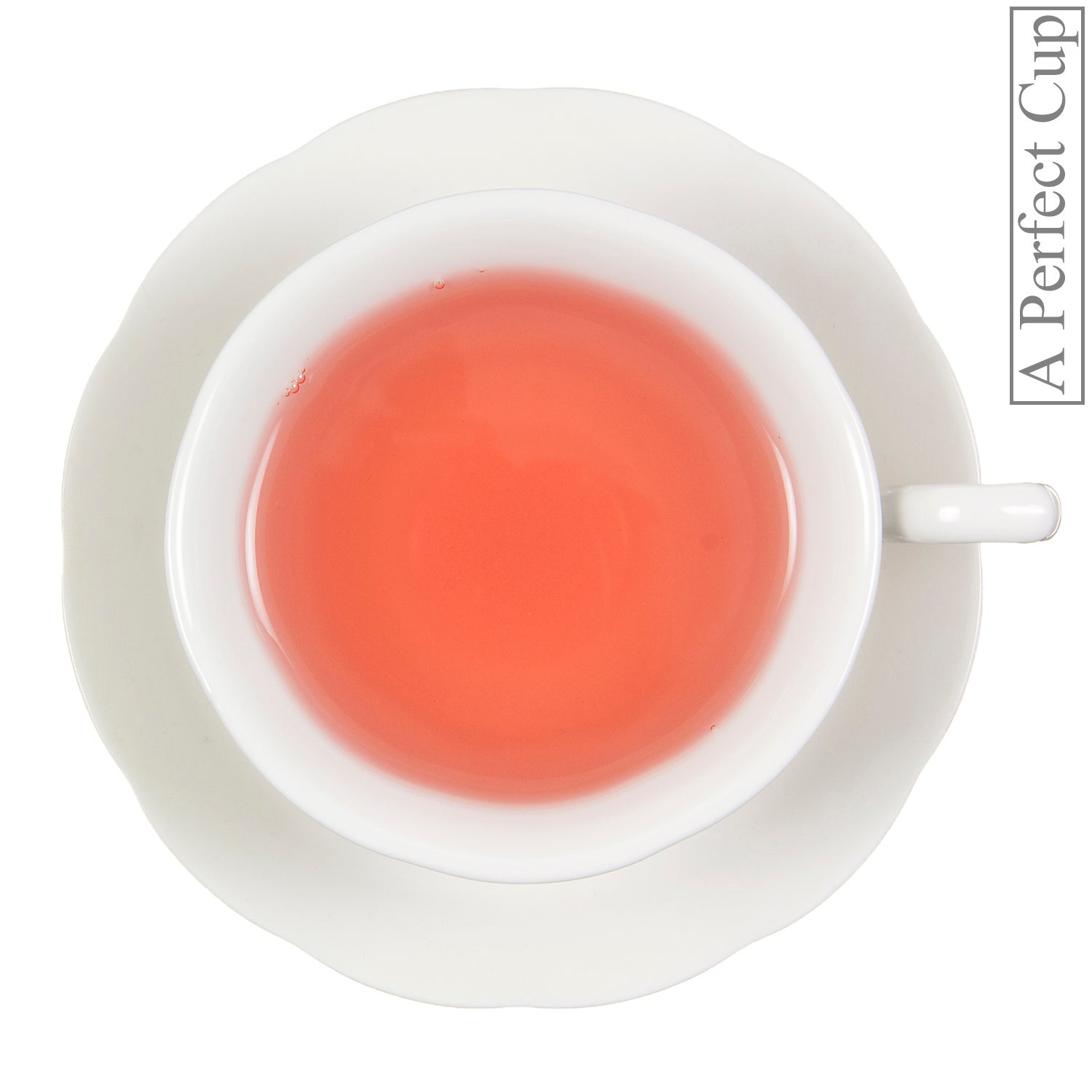 Metropolitan Tea Apple Ginger Botanical Herbal Loose Leaf Tea 1.1 lbs